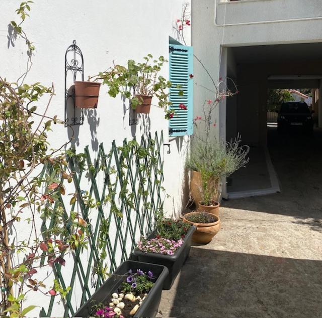 Spata Lykourgos Homes Exterior foto